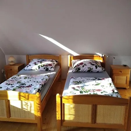 Cisniawa Holiday home Sidzina